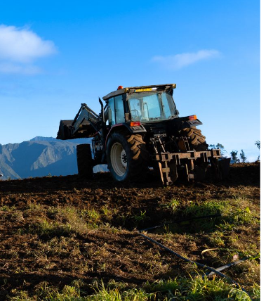 Sustainable agriculture