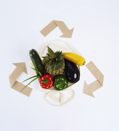 Ecological footprint