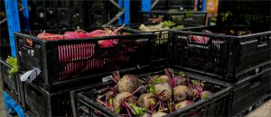 LM: A Pillar of Reunion's Local Economy