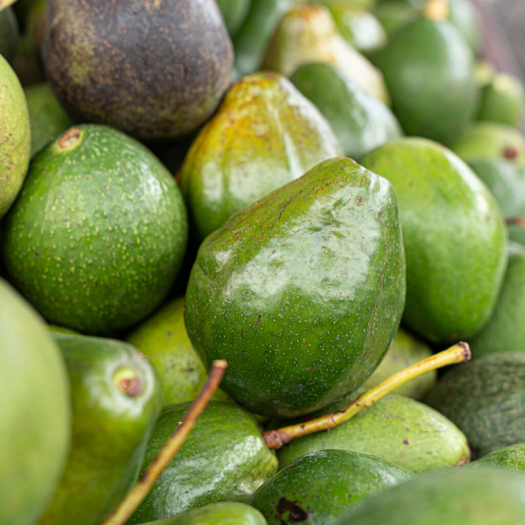 The Avocado: The simple trick to ripen it